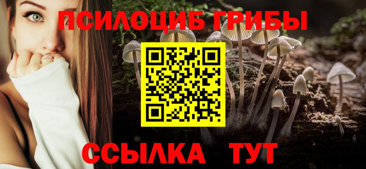 Каменка  Псилоцибиновые грибы Psilocybine cubensis  цены наркотик  Вход с VPN 