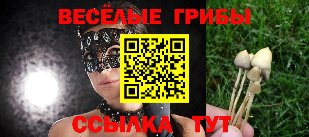 Каменка  ГАШ  Alpha PVP СОЛЬ кристаллы  Кодеин  ГАШИШ  Бошки Шишки  МЕФ кристаллы  Вход с VPN  Кокаин 